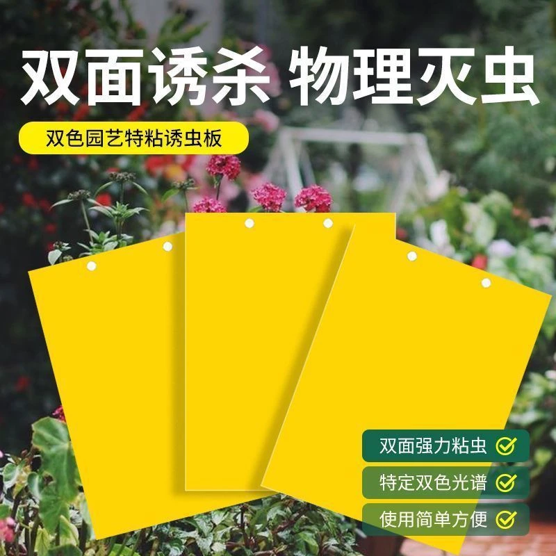黄板双面粘虫板蓟马纸贴黄蓝飞虫小黑飞果园沾果蝇诱捕器粘板大棚