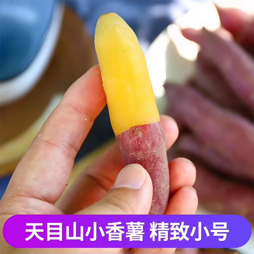 临安天目山红薯板栗小香薯正宗手指软糯薯新鲜农家小番薯地瓜5斤