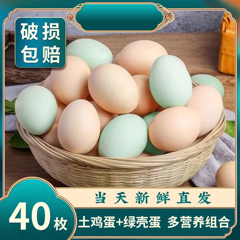 农家土鸡蛋+乌鸡蛋组合 大别山土鸡蛋绿壳蛋 破损包赔