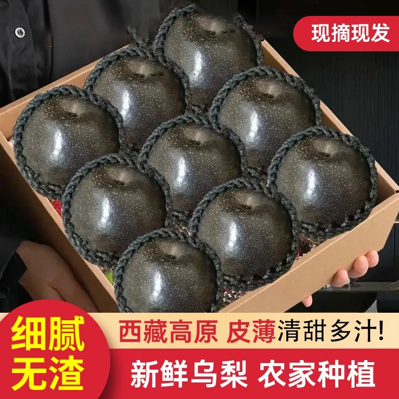 【顺丰/京东】藏乌梨黑梨新鲜皮薄肉厚纯甜无酸脆甜黑梨子孕妇水果