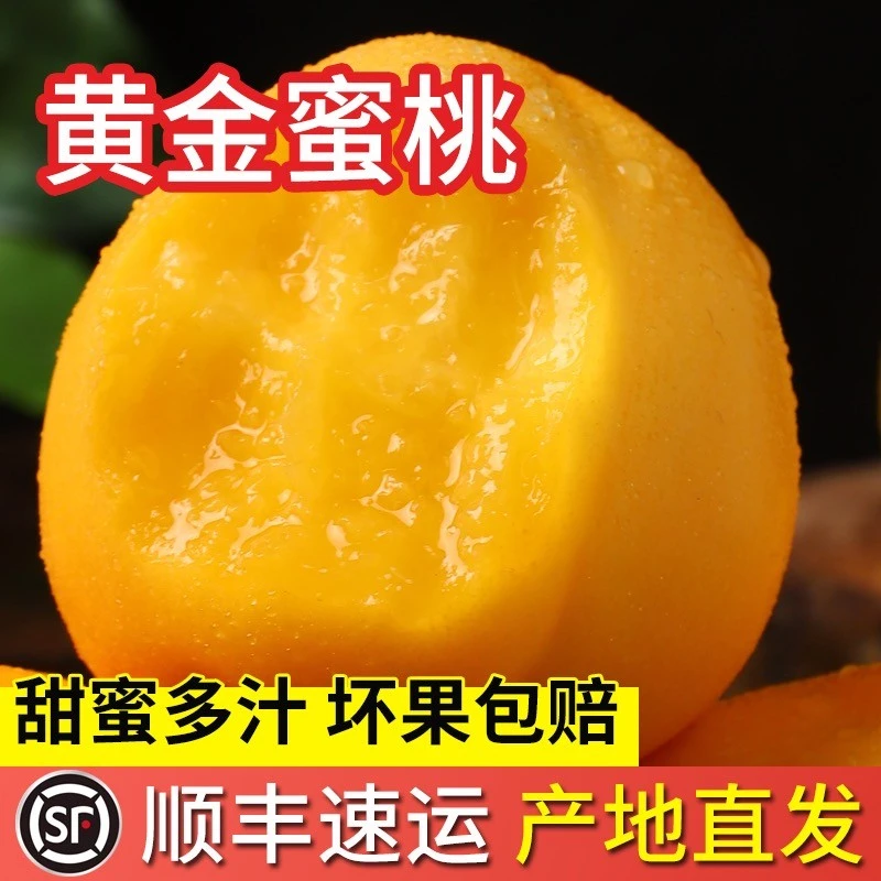 【顺丰包邮】丹东黄金蜜桃芒果桃脆桃现摘新鲜水果桃子油桃黄油桃