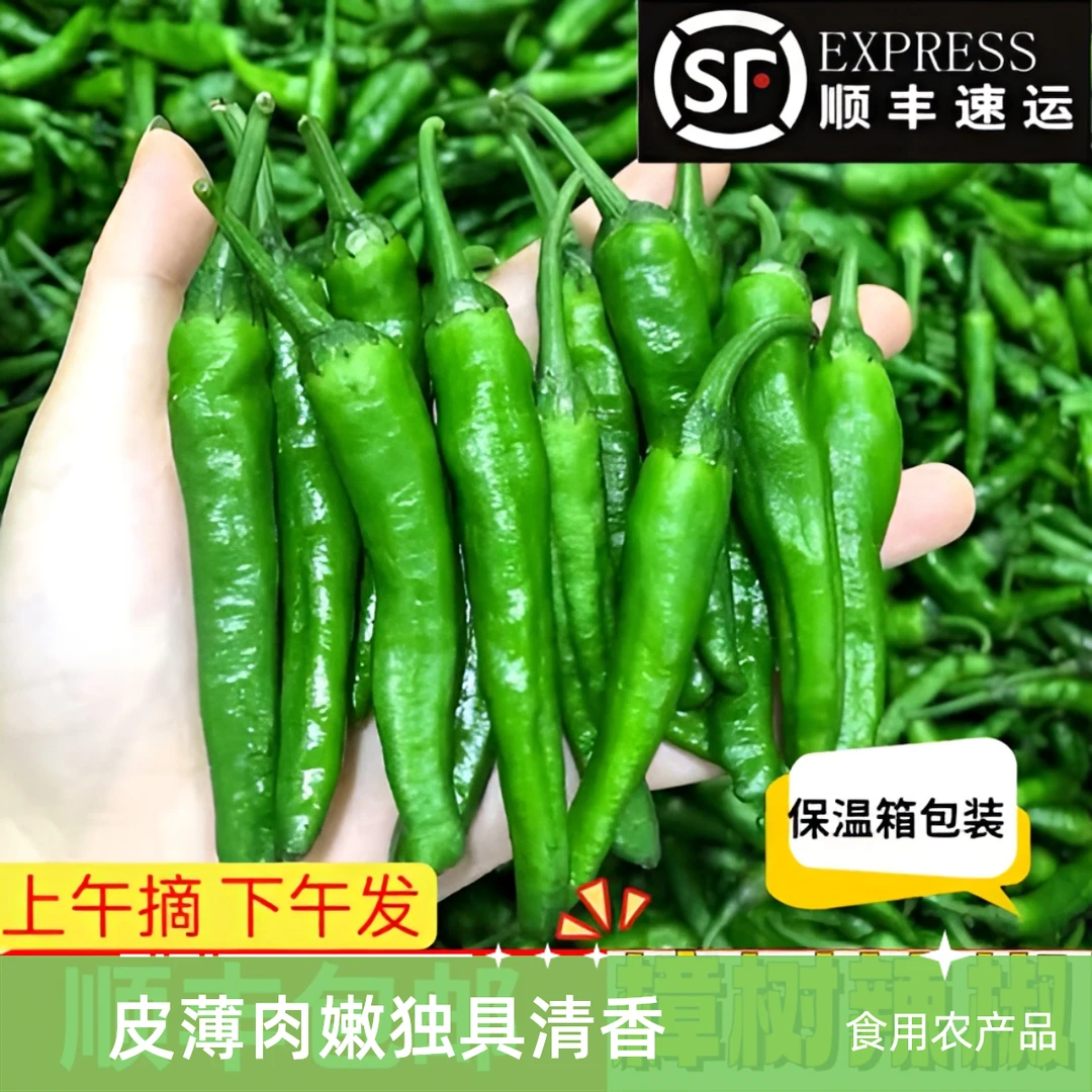 樟树辣椒正宗湖南新鲜富晒辣椒现摘现发当季自种特辣青辣椒皱皮