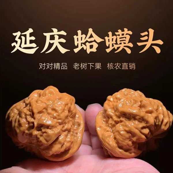 文玩核桃 延庆 怀柔  蛤蟆头 狮子头