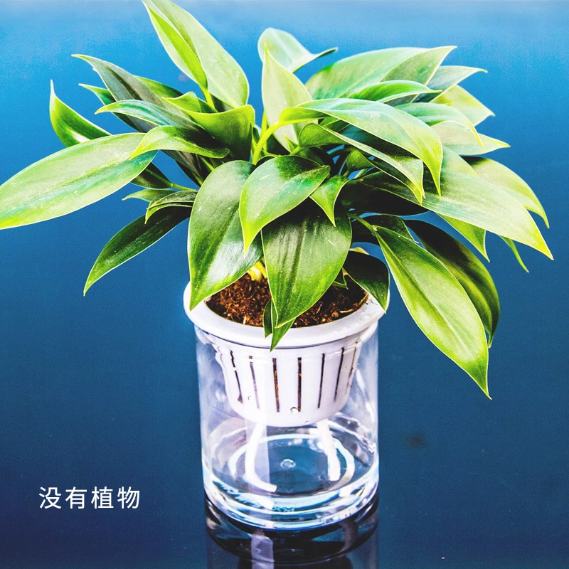 塑料透明直筒花瓶水培花瓶棉绳富贵竹绿萝红掌办公室绿植容器花盆