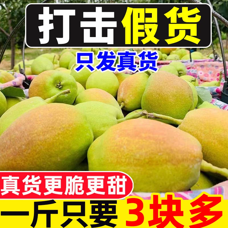 【打击假冒】只发正宗新疆库尔勒香梨水果新鲜当季整箱正品香甜皮薄