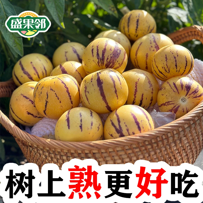 盛果邻 云南石林人参果圆果黄肉人参果新鲜水果精选大果整箱
