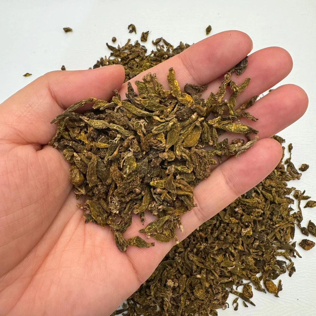 【秋冬滋补】大自然红珠虫石斛  野