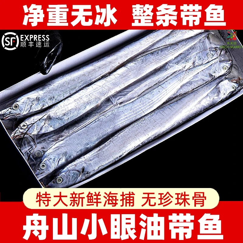 顺丰舟山小眼带鱼无冰东海带鱼整条新鲜捕捞冷冻海鲜海鱼3斤起