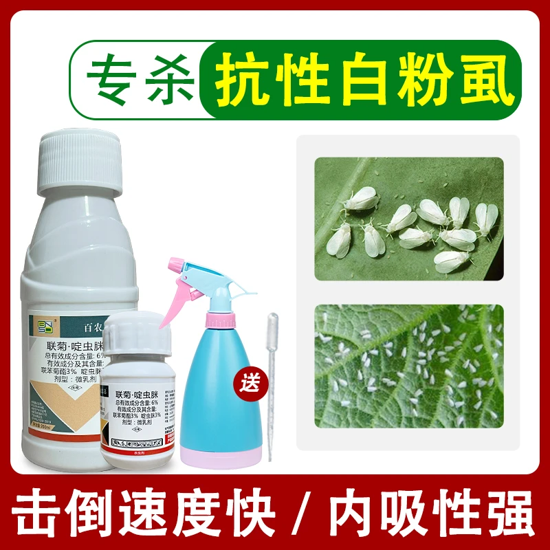 专杀白粉虱蚜虫灭花盆专灭小飞虫白飞虱专用药花卉蔬菜植物杀虫剂