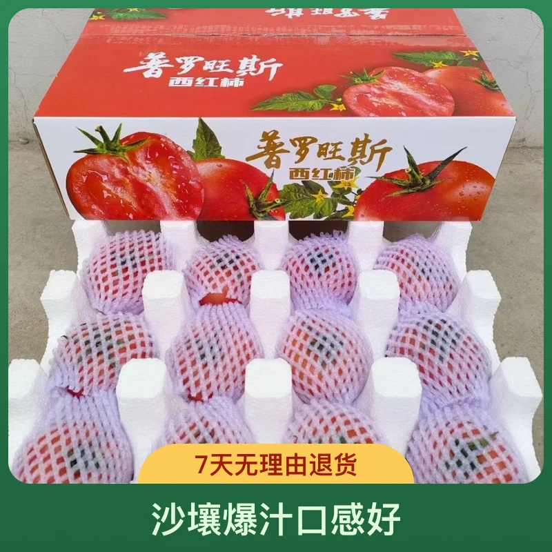 泾阳普罗旺斯西红柿，沙壤爆汁，12枚装大果，中通包邮