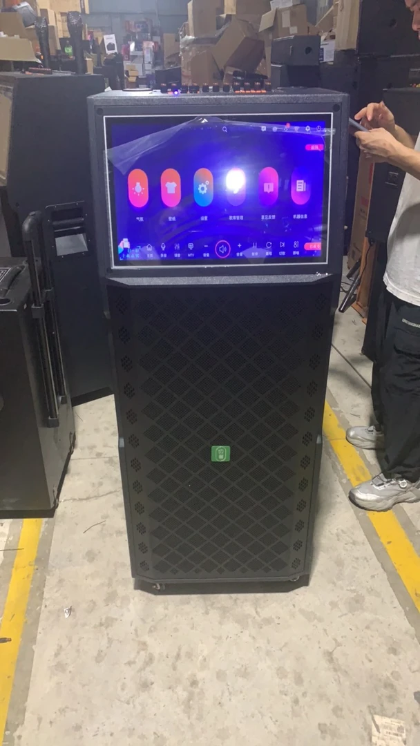 未使用  插电款双12寸视频机，19寸屏两只话筒，没电池，没有遥控器