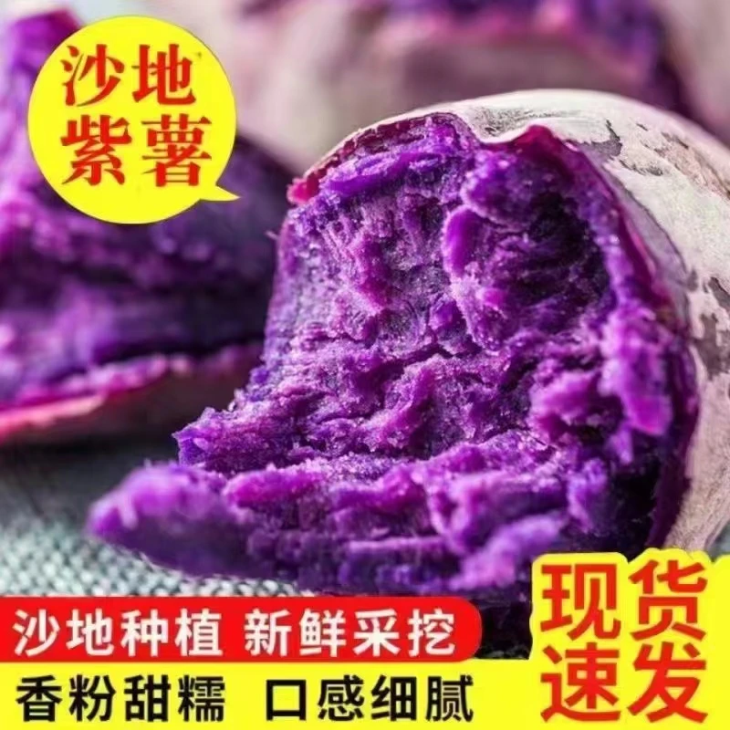 新鲜沙地紫薯紫罗兰番薯粉糯香甜板栗红薯地瓜蜜薯