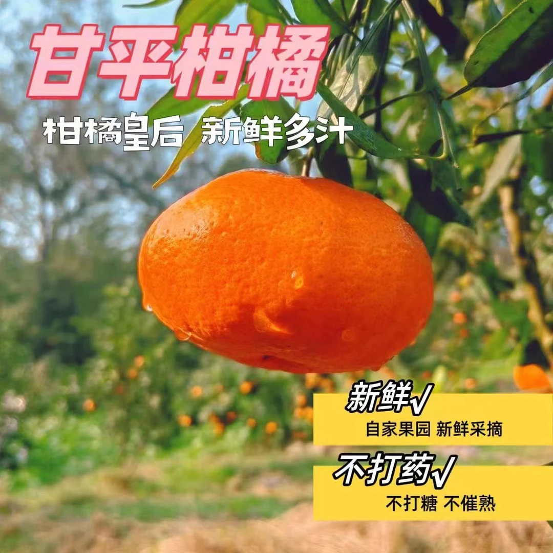 YAXINYUANSINCE.1985/雅馨园果实眉山正宗甘平柑橘当季新鲜水果