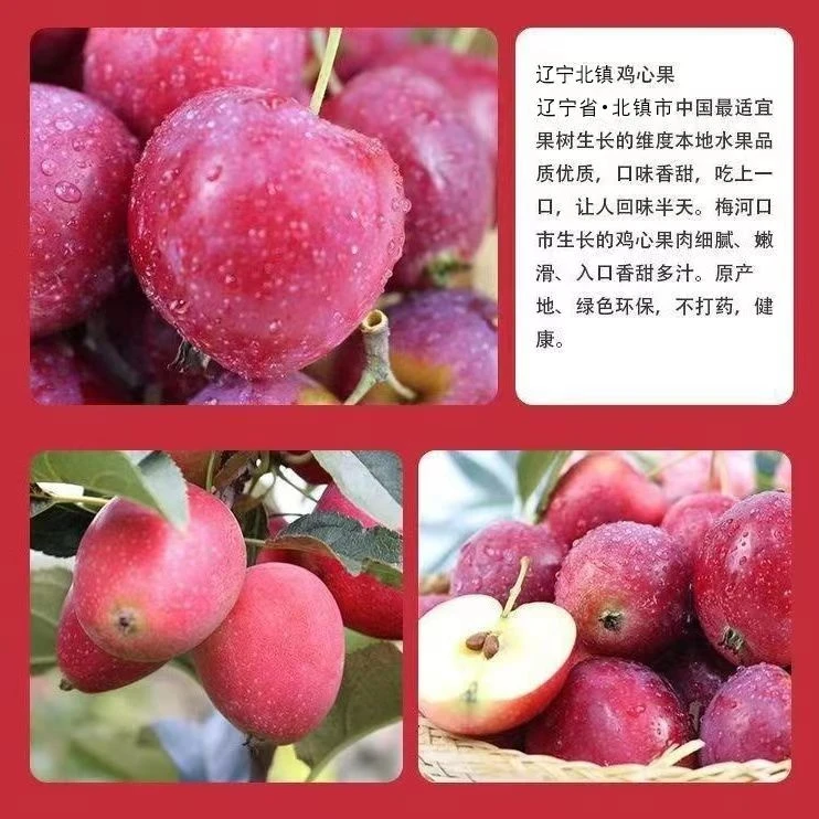 东北特产鸡心果锦绣海棠果糖心小苹果酸甜可口多汁