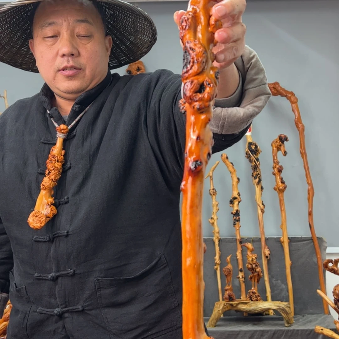 【闪购商品】黑果木其他新*竹车载790