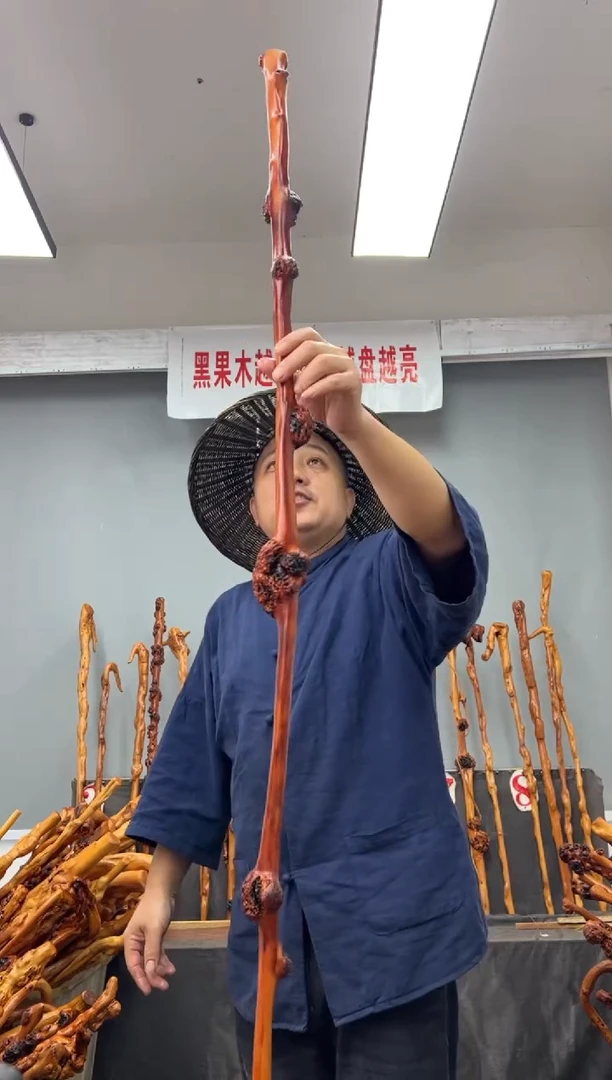 【闪购商品】黑果木其他黑果木810