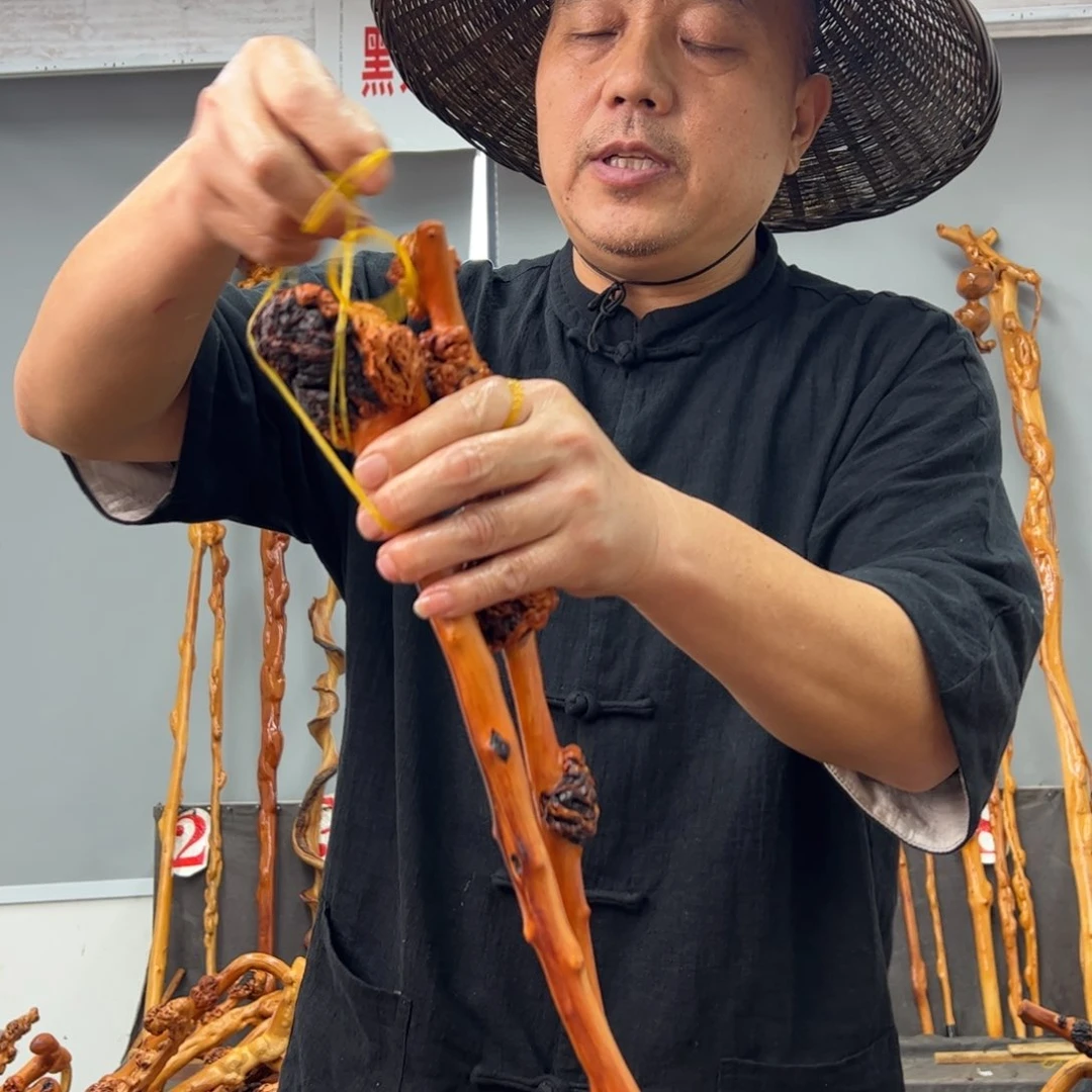 黑果木其他黑果木585