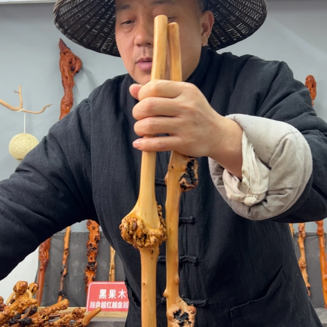 【闪购商品】黑果木其他车载301