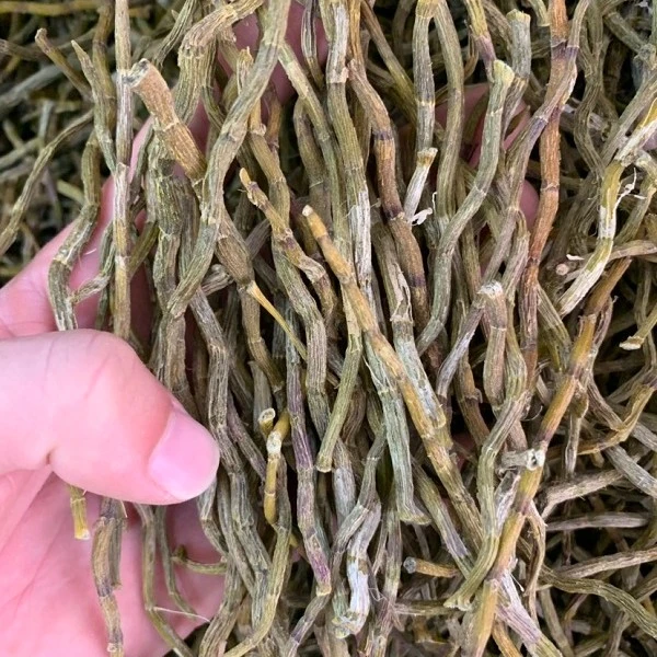 【臭带货】下山铁皮石斛干条（非洛神花）