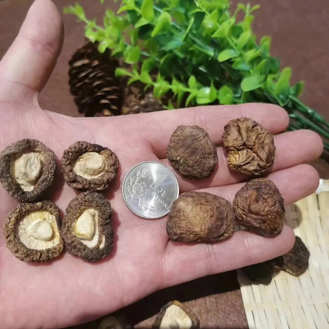 【臭代购】林下种植小香菇干(非茯苓)