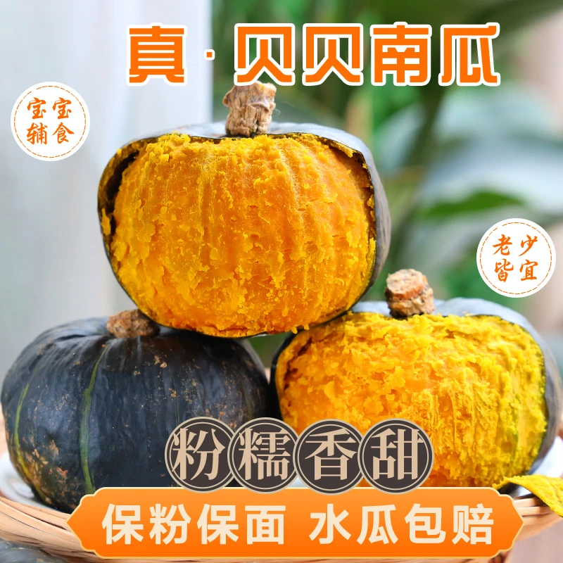 正宗口味宝宝辅食山东贝贝南瓜4.5斤新鲜板栗味老南瓜甜粉糯