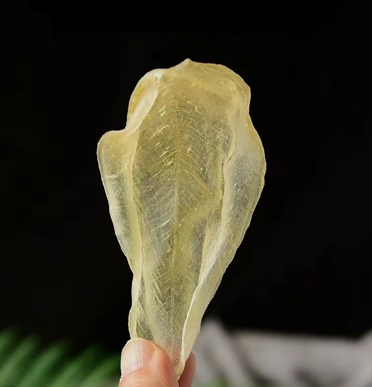 【白花胶】直播间临时改价链接  重量以直播间为准