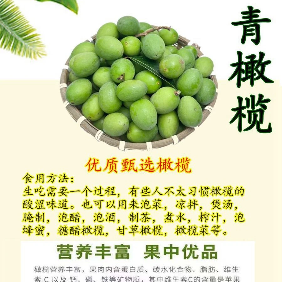 1斤含量2024新鲜优质檀香橄榄产品酸涩生吃煲汤榨汁泡酒味道甘甜