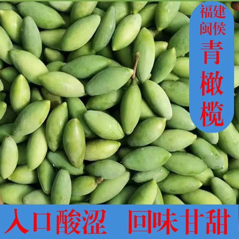 两头尖橄榄产地闽侯特产新鲜采摘生吃味道酸涩甘甜口感净重250g