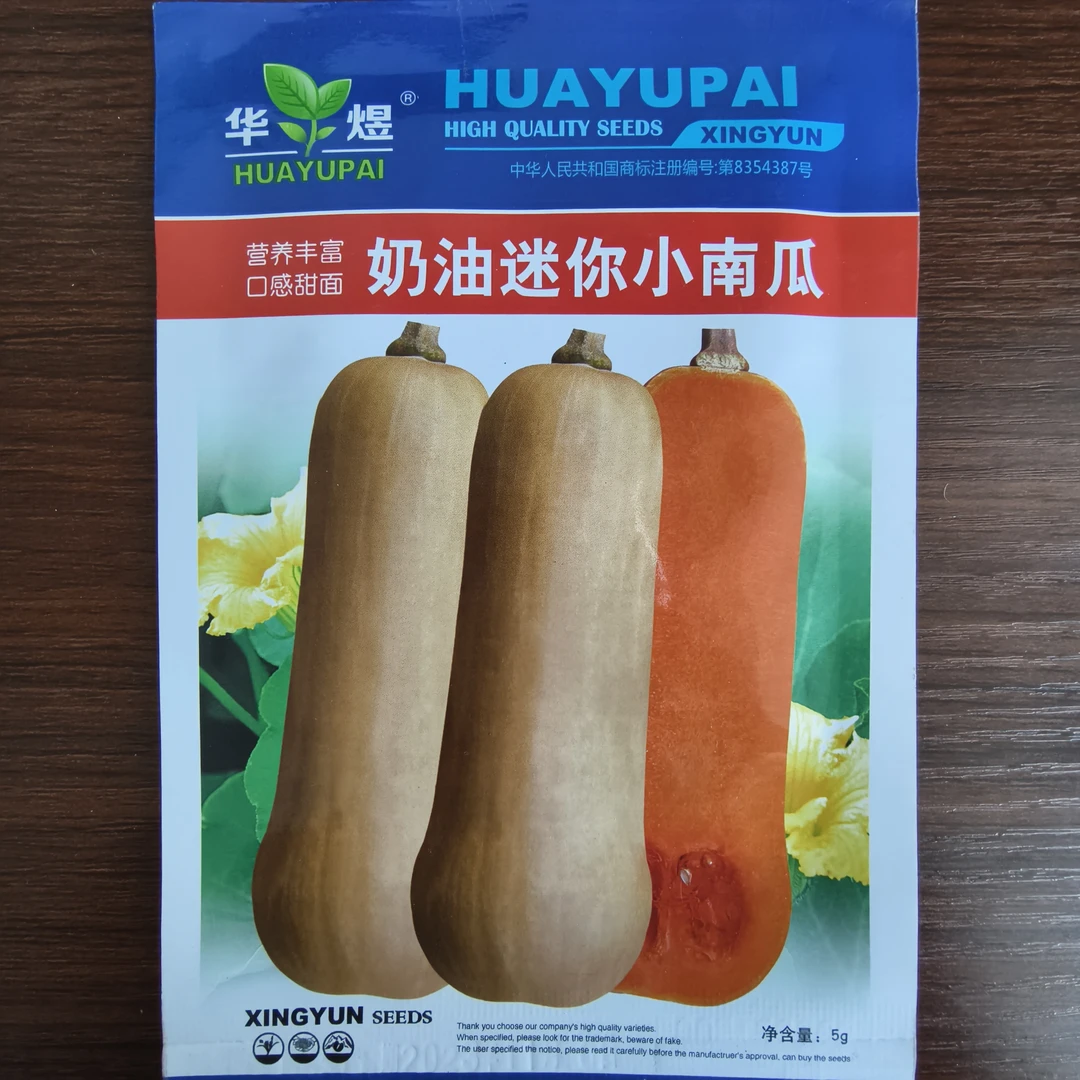 奶油迷你小南瓜种子