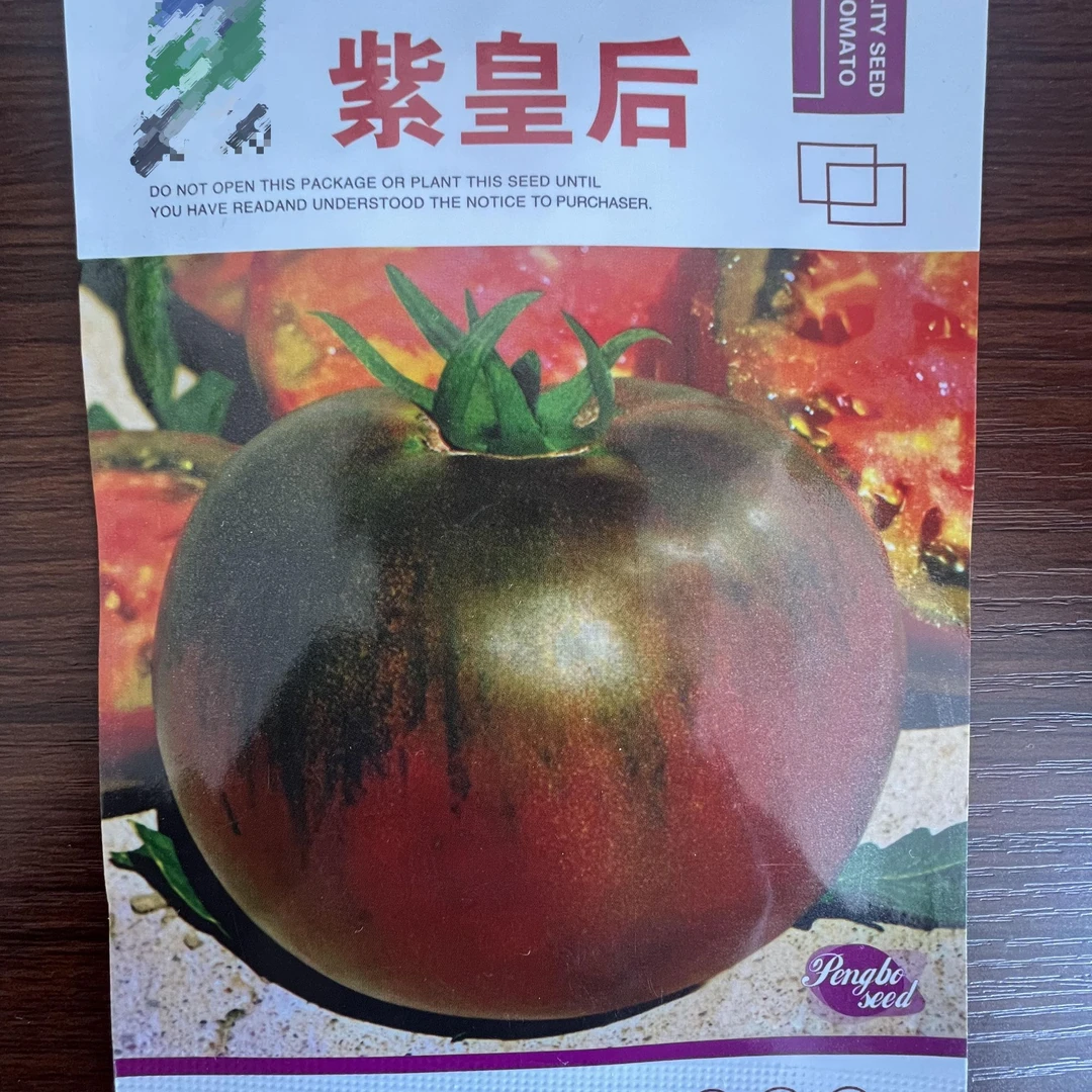 紫皇后，紫柿子种子