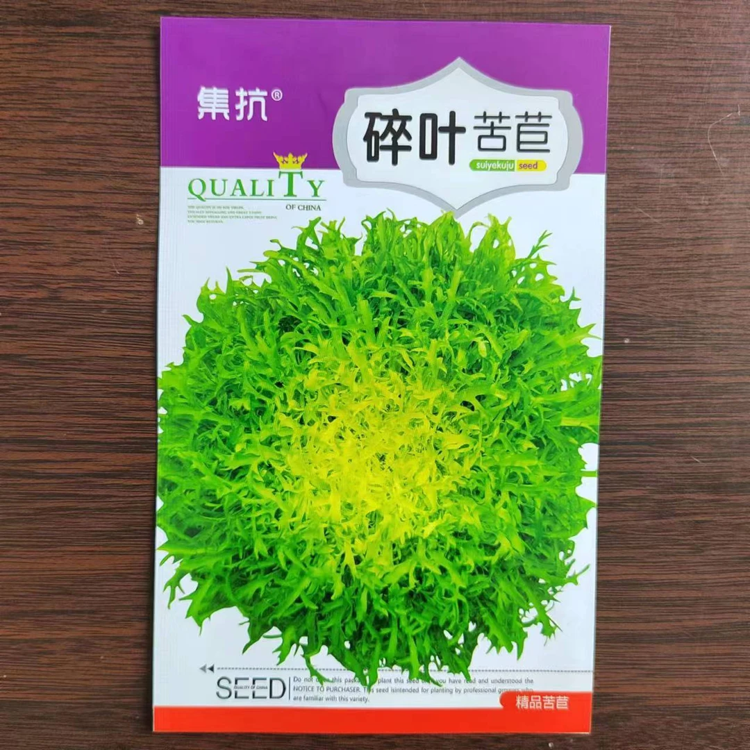 碎叶苦苣种子，耐热耐寒
