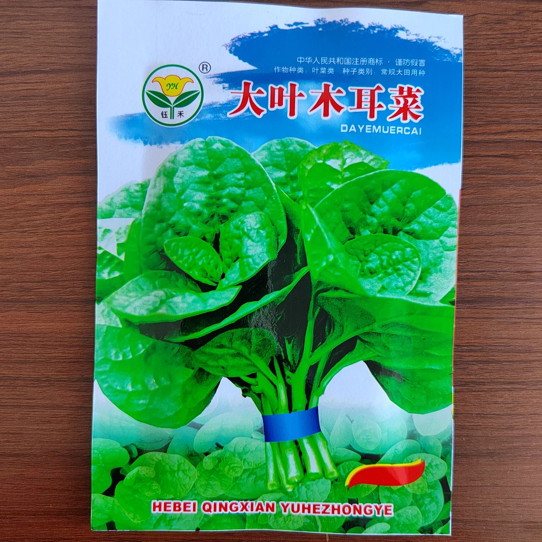 大叶木耳菜种子，