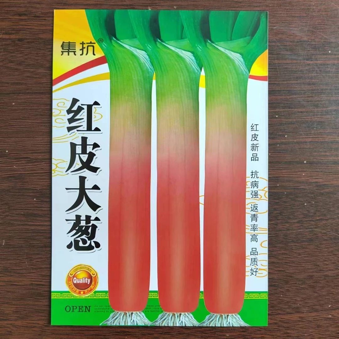 红皮大葱种子，抗寒性好，心实，耐储存