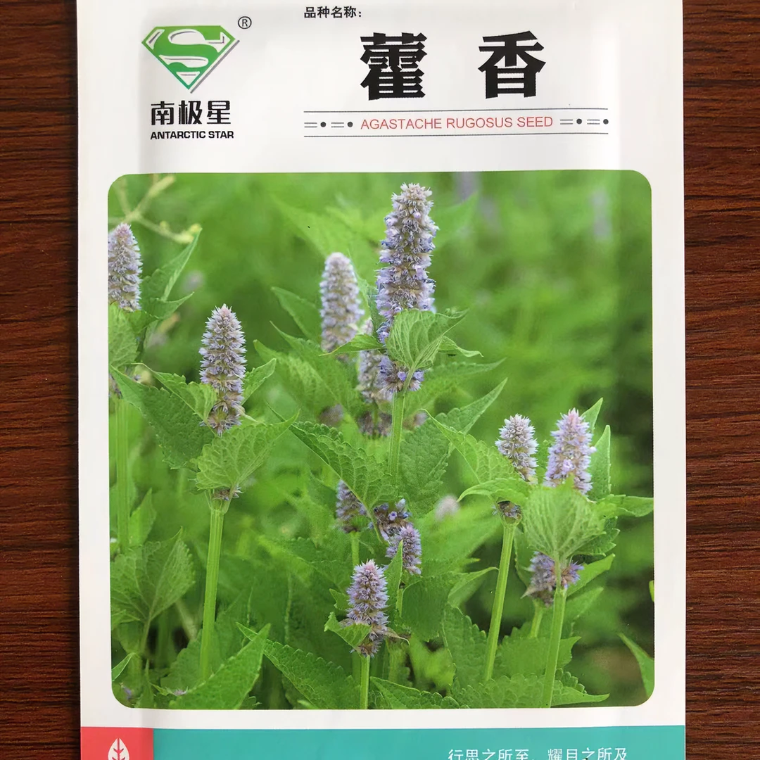 藿香种子，猫把蒿，野薄荷