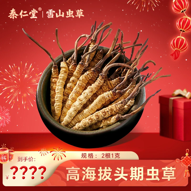 【严选】礼盒装 2根1克 -王中王 冬虫夏草优选头期草 奢华饱满品质