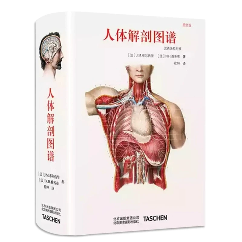 人体解剖图谱