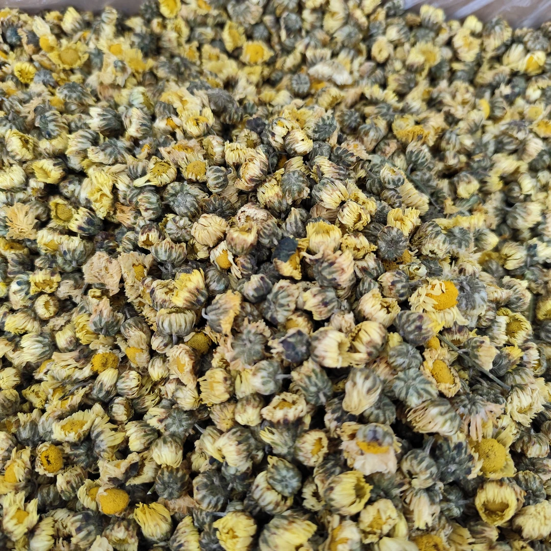 桐乡胎菊40g菊花茶手工正宗杭白菊贡菊花茶散装可搭枸杞