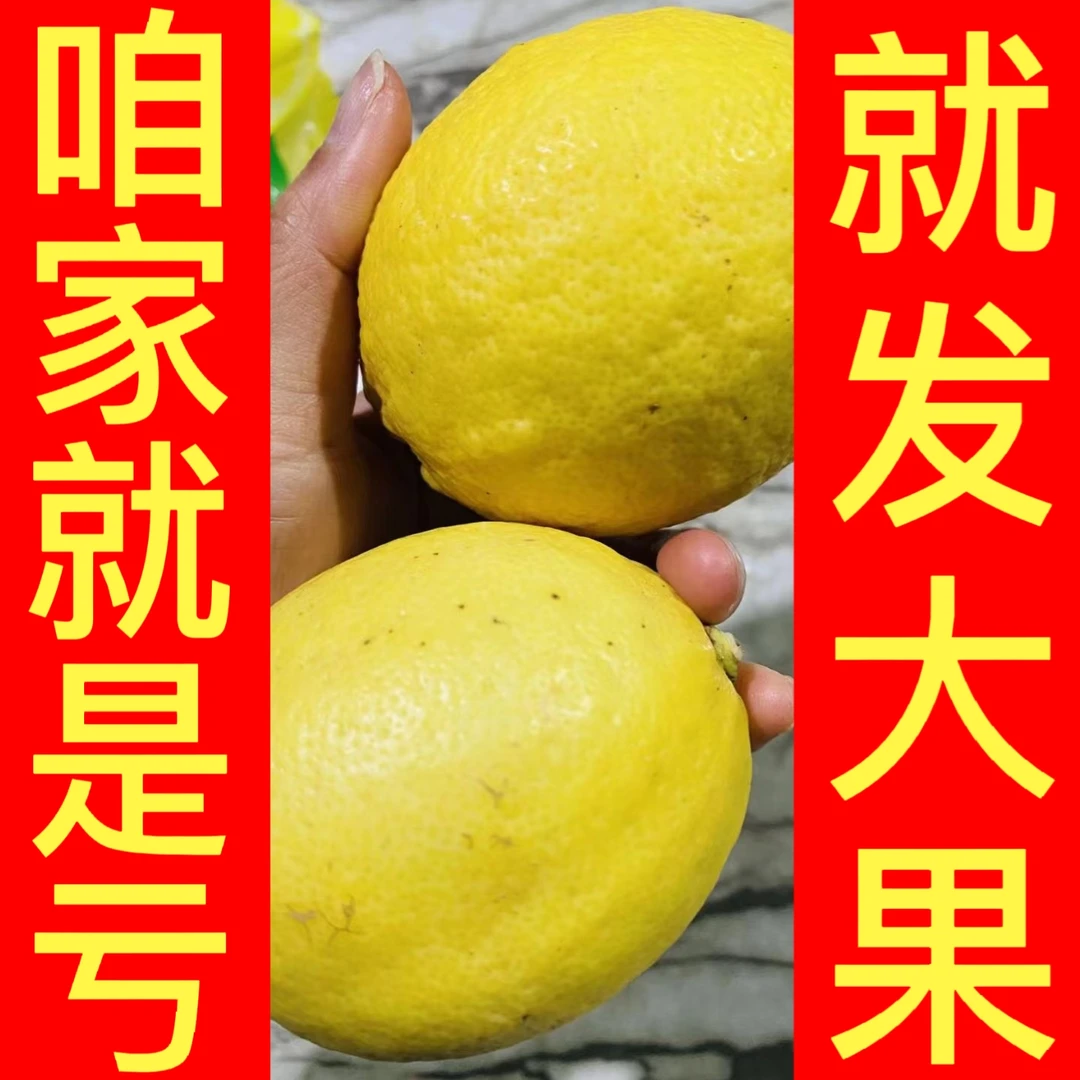 四川安岳柠檬 大果2斤装约3-4个
