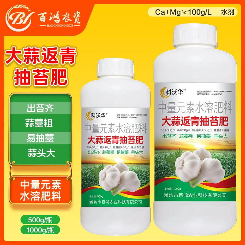 科沃华大蒜返青抽苔肥出苔齐蒜头大蒜苔粗专用中量元素水溶肥料