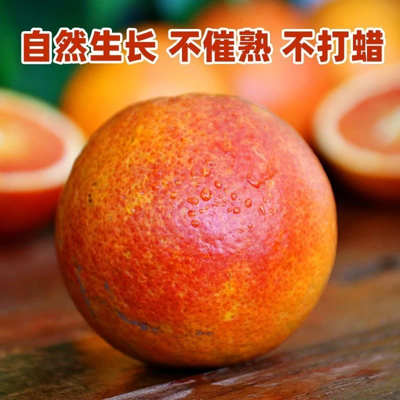 四川白庙老品种塔罗科血橙中华红血橙现摘应季新鲜水果一当季水果