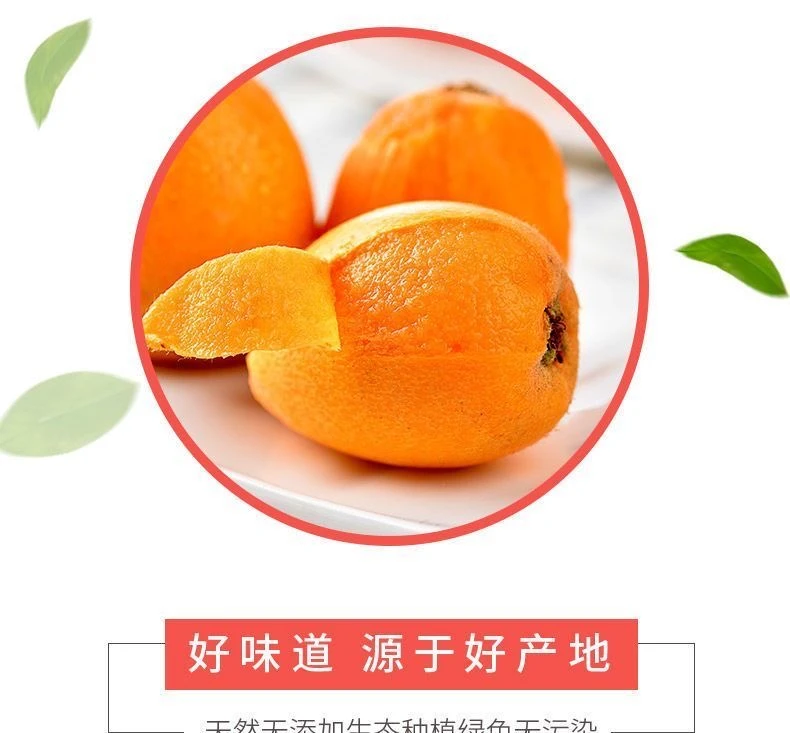 顺丰包邮下单现摘，蒙自老树甜枇杷（个数发，）