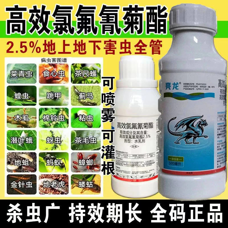 高效氯氟氰菊酯杀虫剂食心虫钻心虫果实蝇小菜蛾蚜虫菜青虫农药
