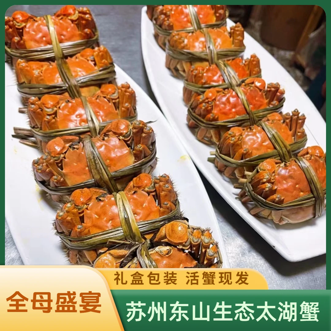 【活蟹】苏州东山生态大闸蟹鲜活螃蟹母4.0-4.3两公5.0-5.3两/6只