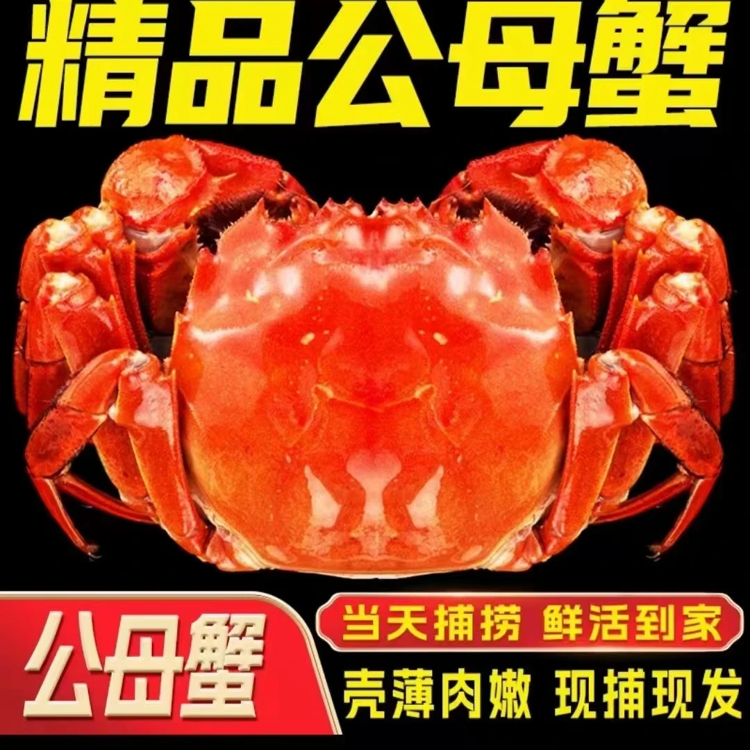 【活蟹】【阿康专属】苏州精品大闸蟹 公4.0-3.7两母3.0-2.7两/8只