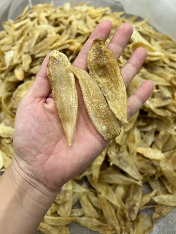 130头野生厚肉金龙胶500g