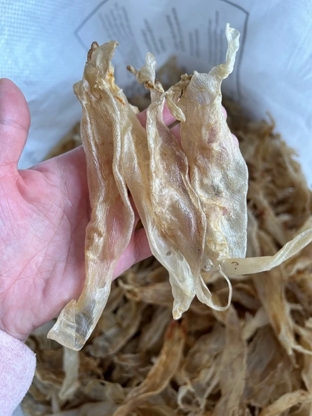 野生北海金钱大耳胶250g-500g