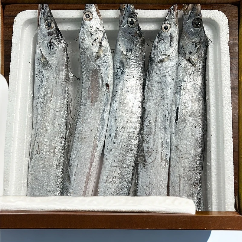 大连渤海湾小带鱼纯野生当地油炸香煎刀鱼个别擦皮破肚断顺丰包邮