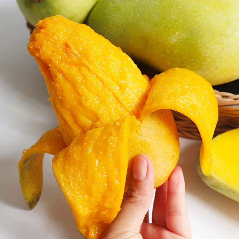 【需催熟】海南金煌芒4.5斤现摘芒果香味食用新鲜水果香甜多汁
