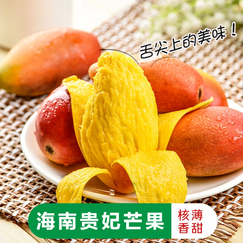 【需催熟】海南正宗贵妃芒果5斤/8斤新鲜现摘皮薄香甜多汁饱满鲜嫩