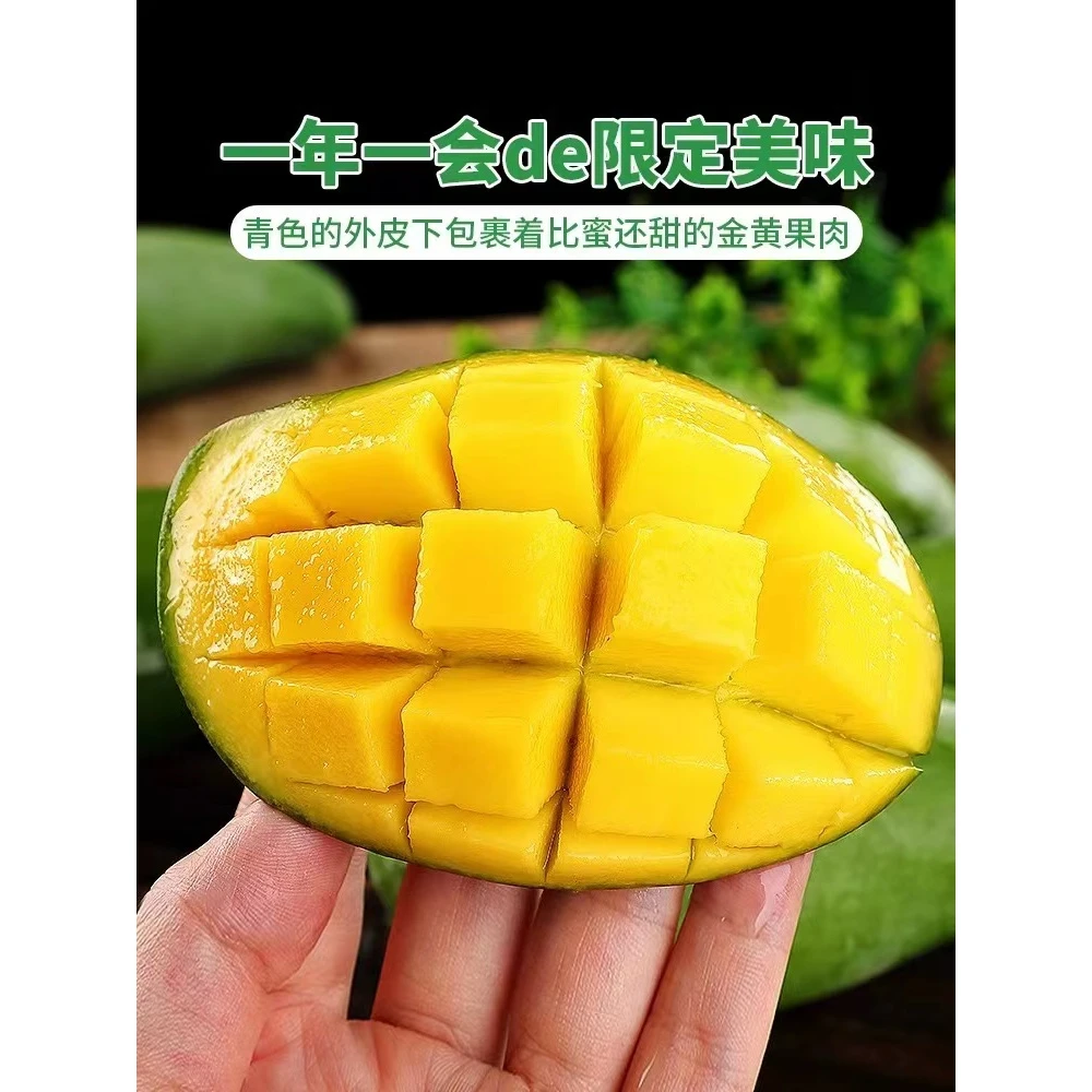 桂七香芒广西百色田东老树3-9斤产地直发新鲜美味香味浓郁多汁